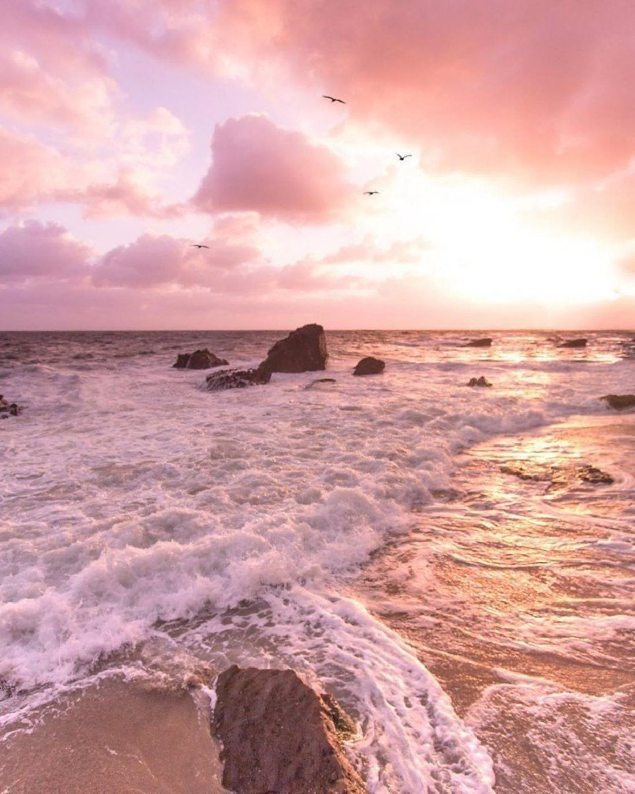 Розовый закат на море