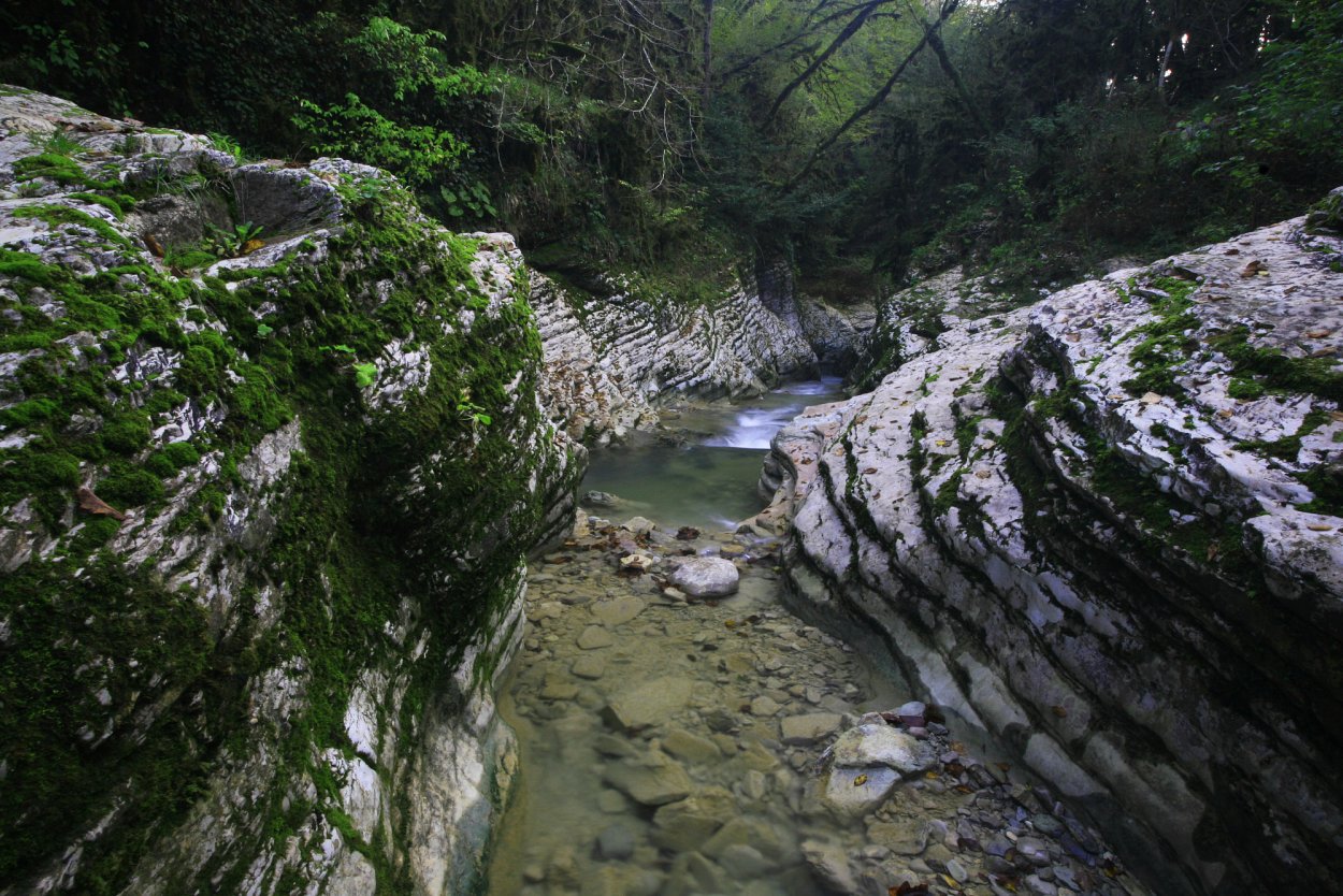 Парамонов Сочинский национальный парк