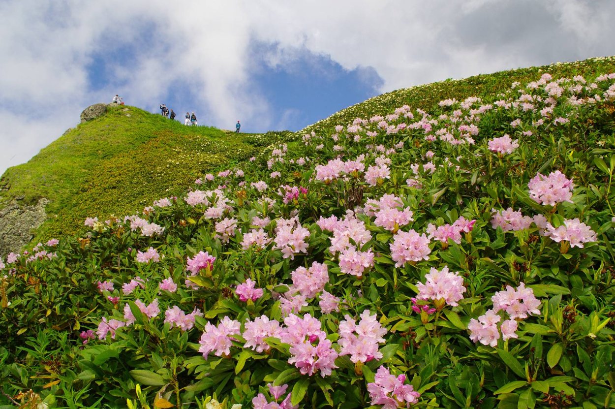 Сочинский национальный парк, Сочи