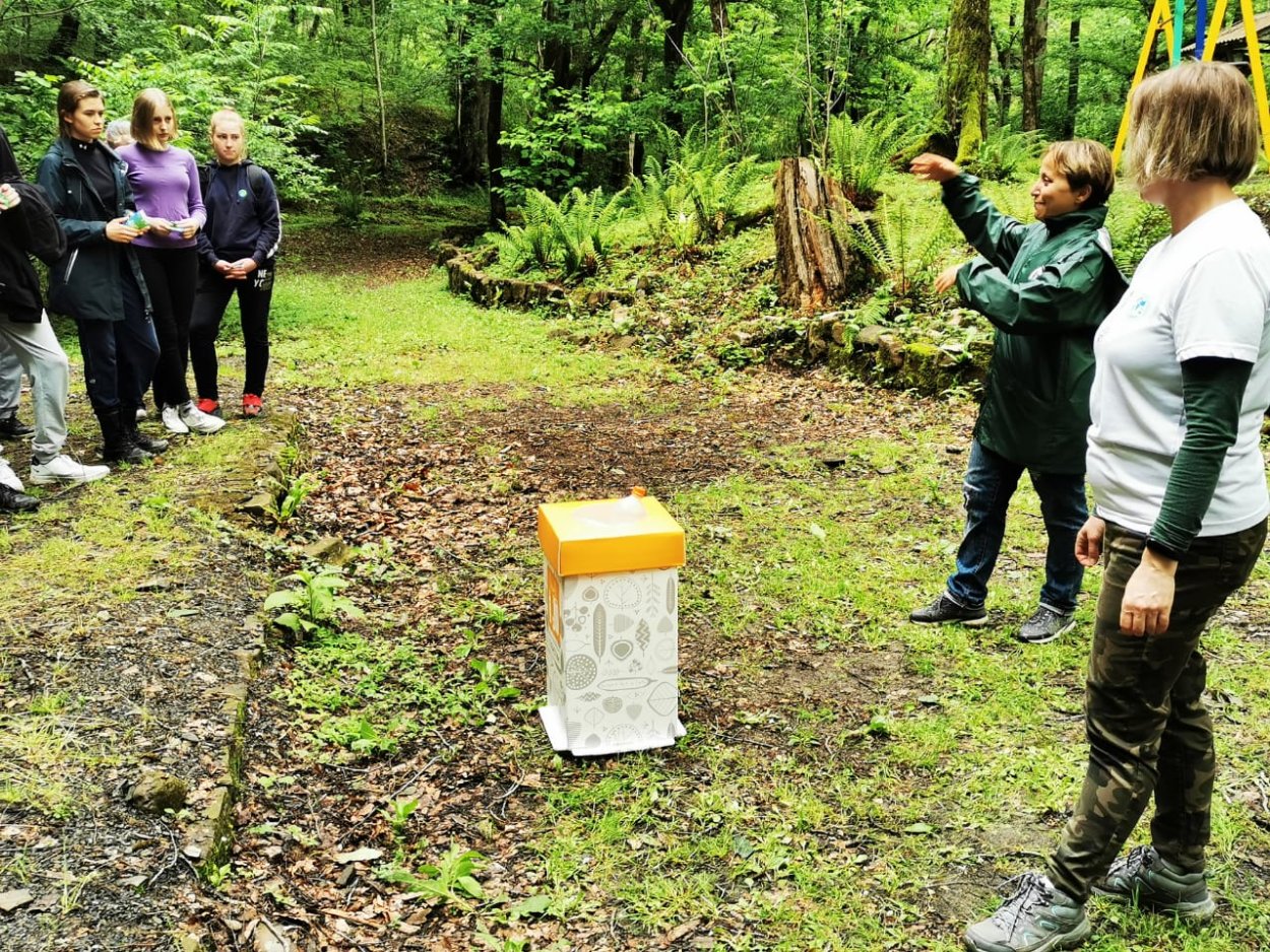 Слет экологов и лесоводов