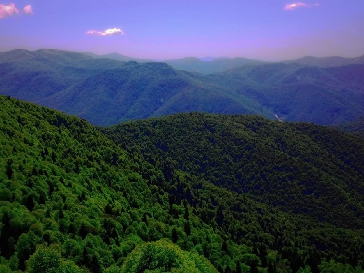 Сочинский национальный парк