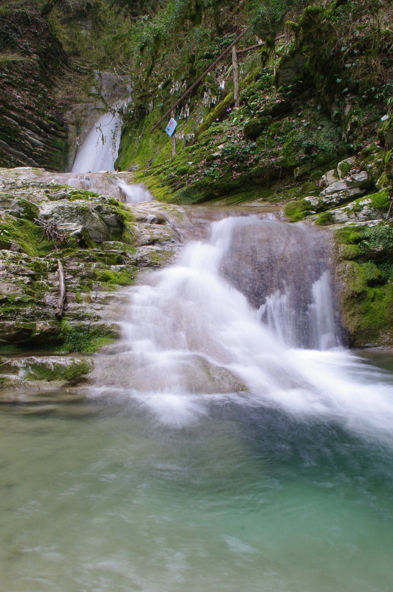 Сочинский национальный парк, Сочи