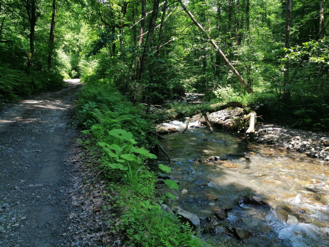 Нац парк Сочи