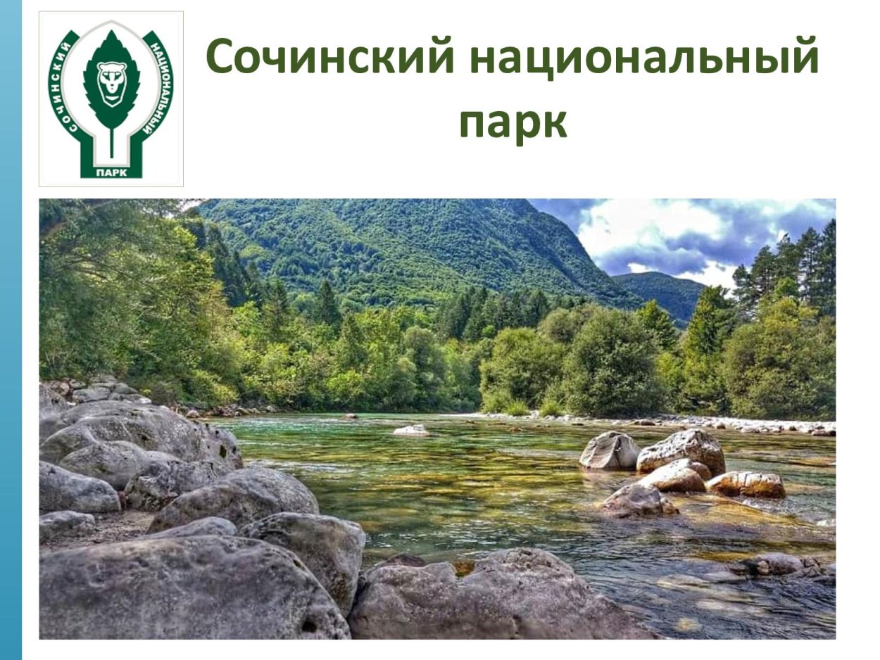 Сочинский национальный парк территория