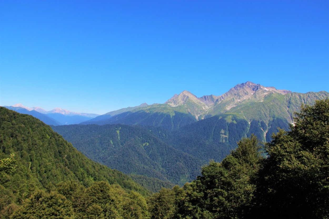 Краснодарский край национальный Сочи парк