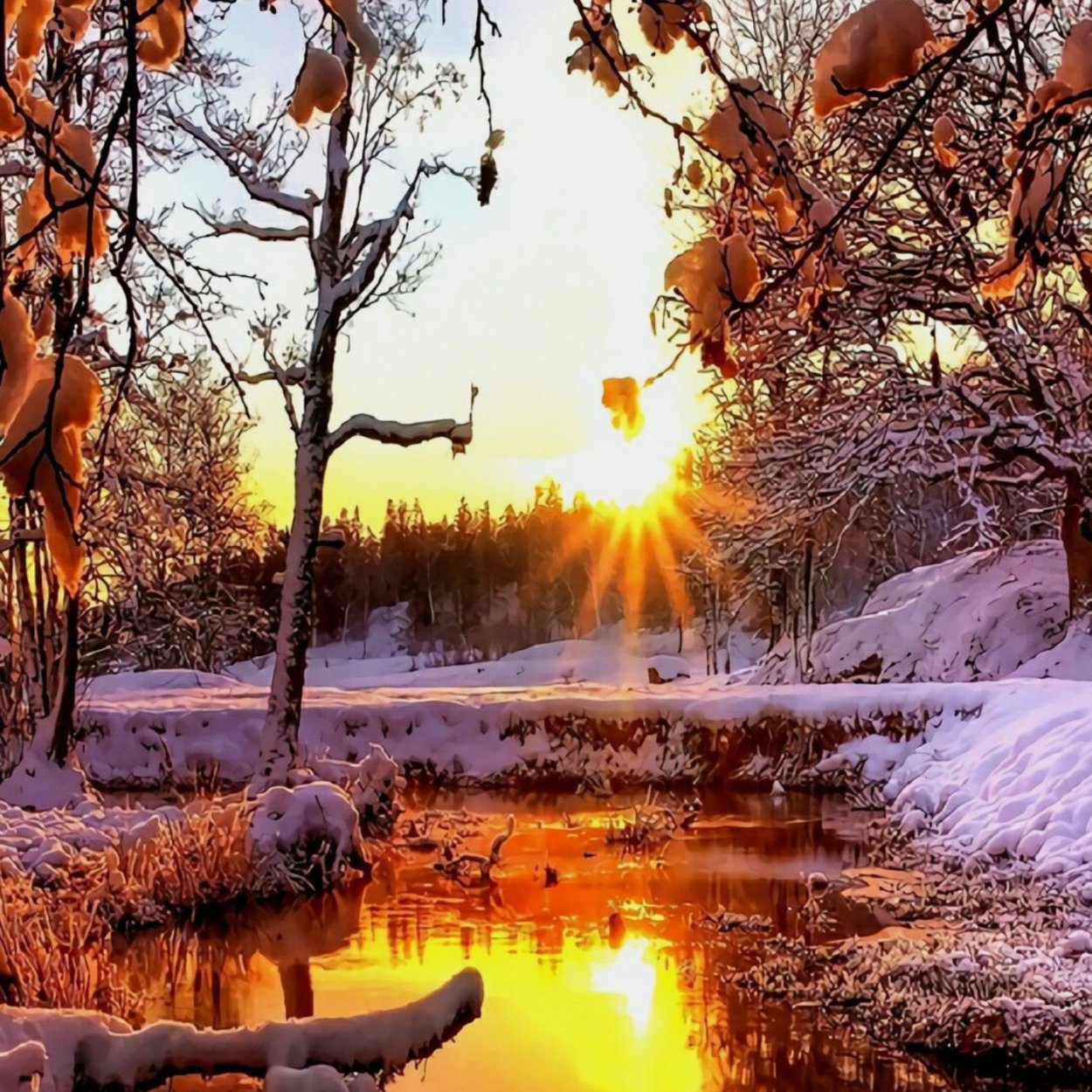 Зимний закат