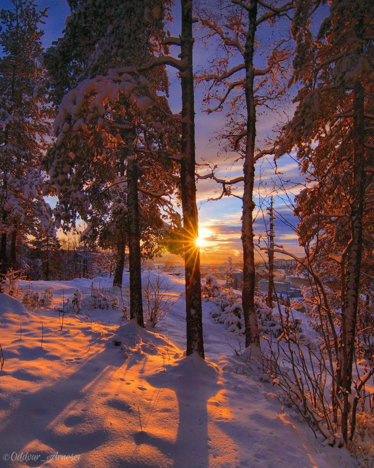 Закат зимний вечером в лесу