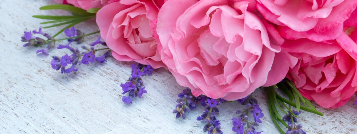 Пионы обложка для одноклассников