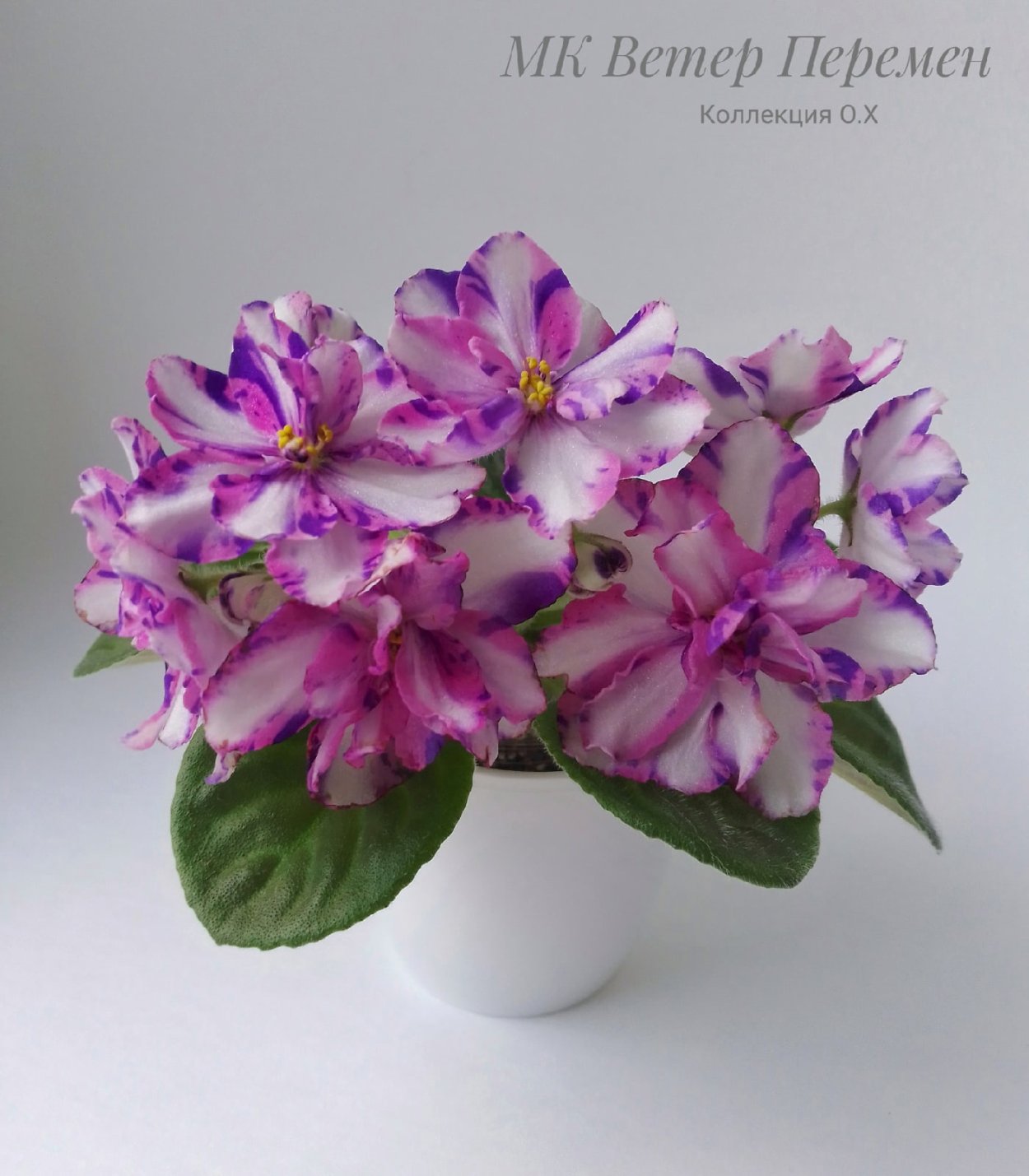 МК-ветер перемен