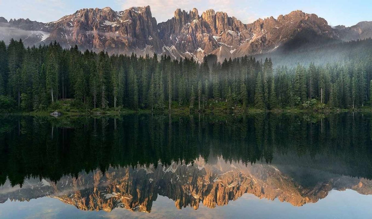 Зеркальная симметрия в природе