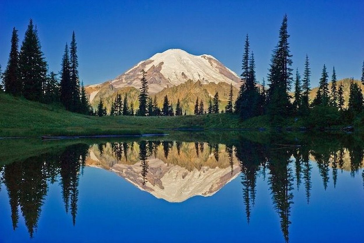 Симметрия в природе