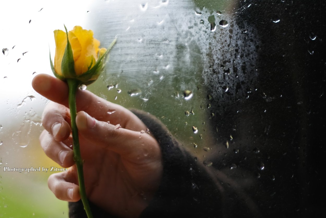 Цветок плачет