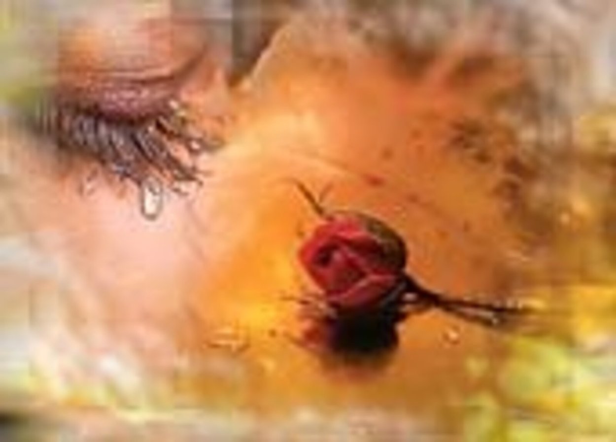 Цветы и слезы