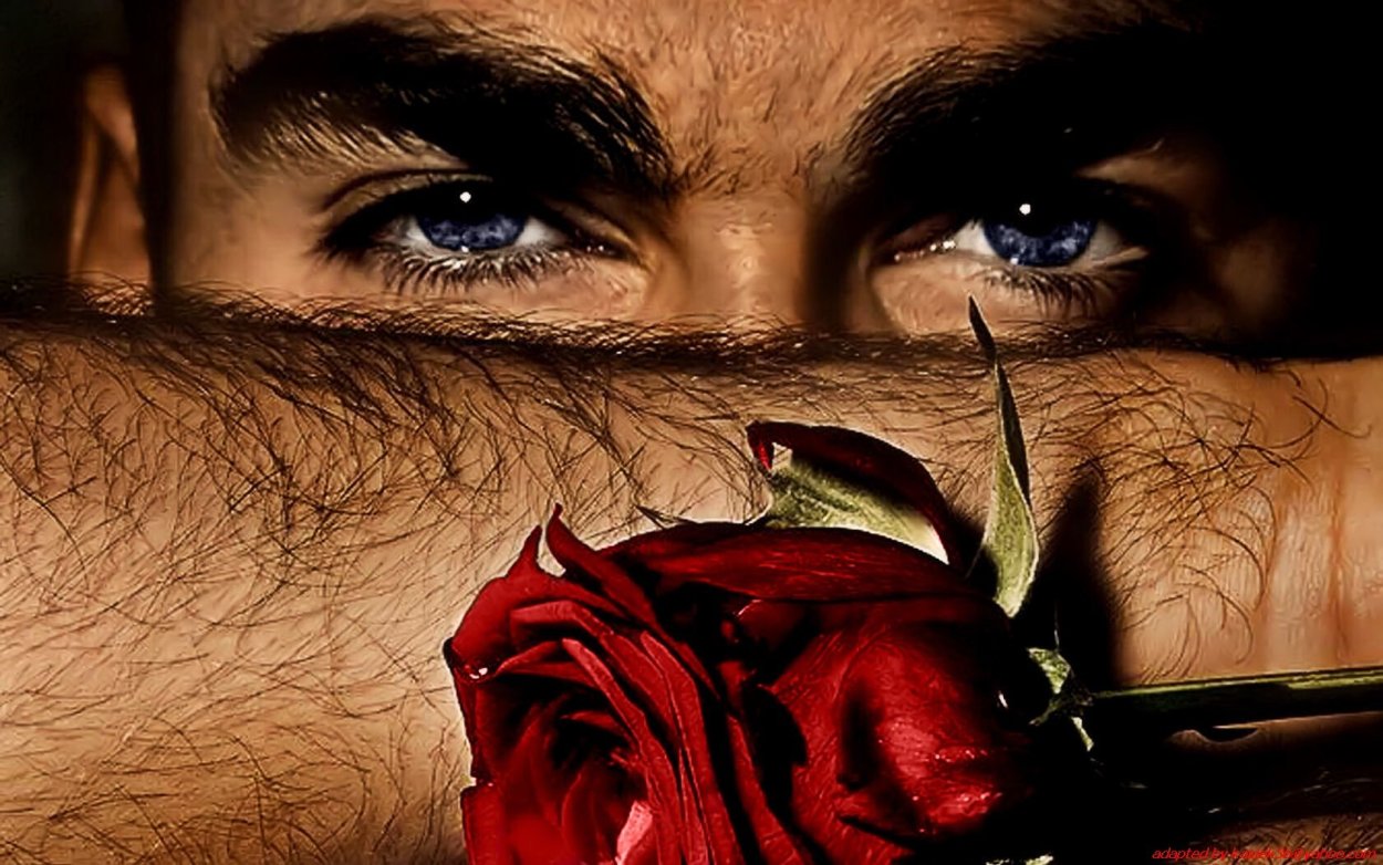 Взгляд мужчины с розой