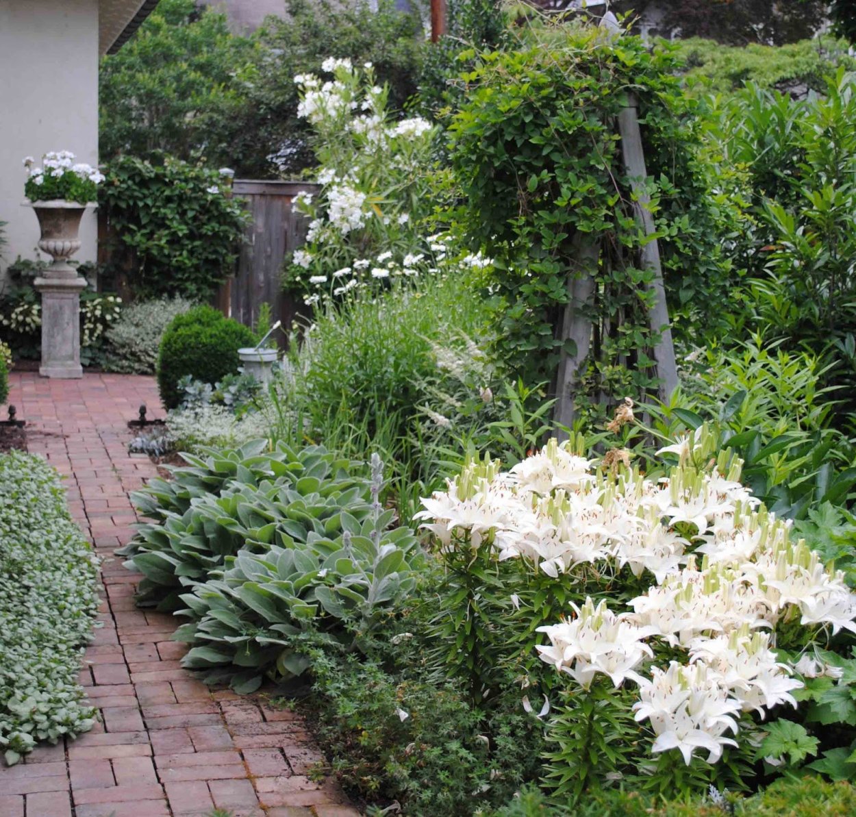 Миксбордер с лилиями