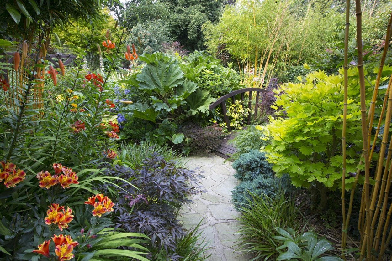 Альстромерия в ландшафте