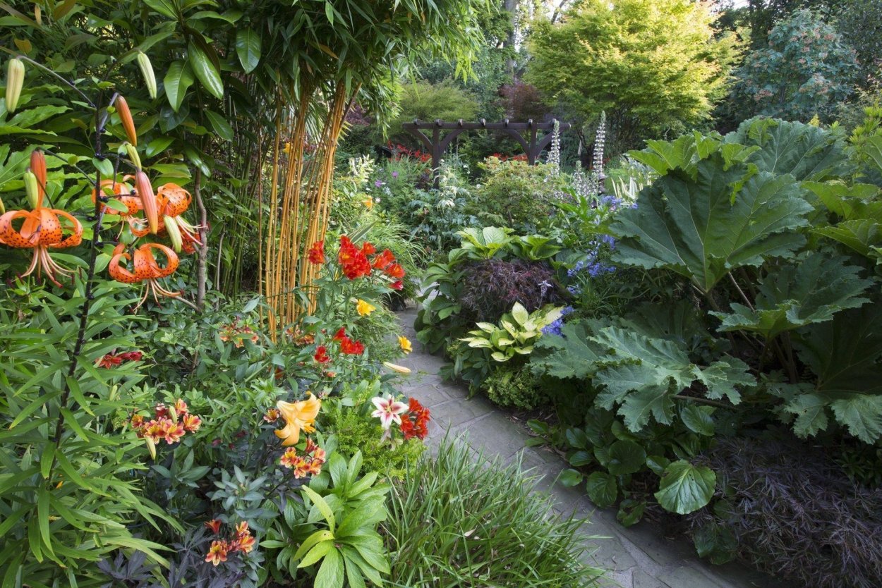 Садовые композиции с лилиями