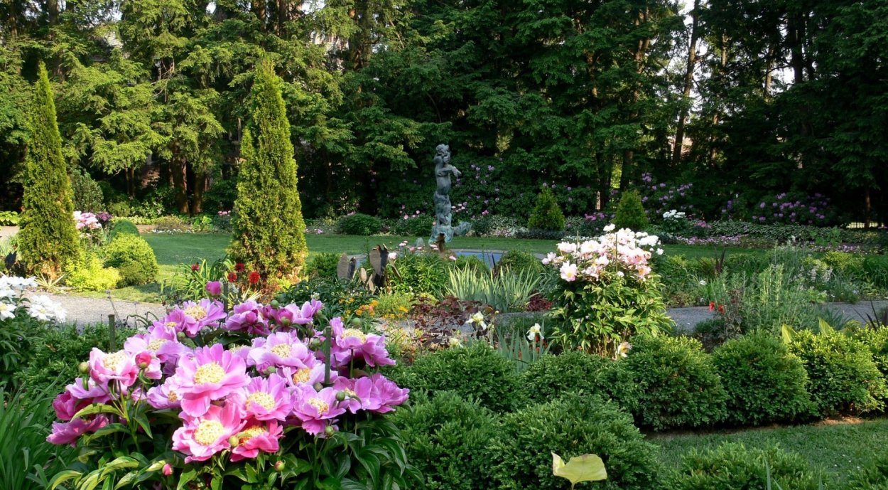 Миксбордер розы хвойники лилии