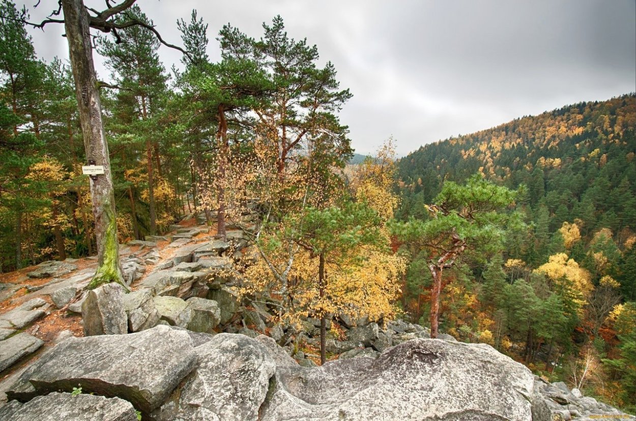 Ильменский заповедник Эстетика