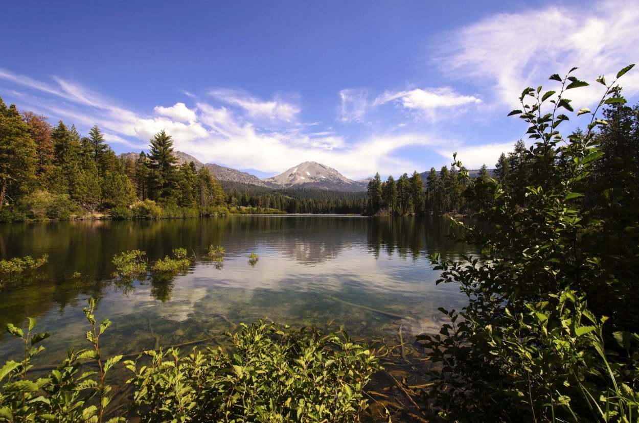 Лесное (озеро, Северная Америка)