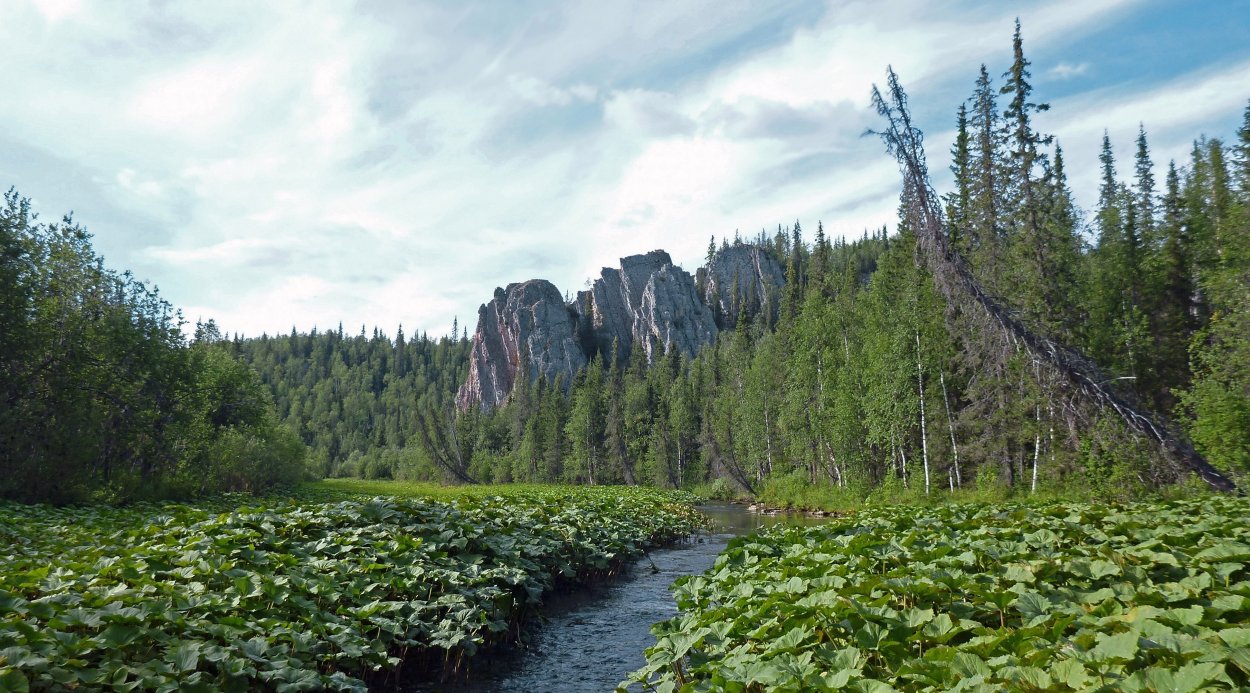 Ильменский заповедник климат