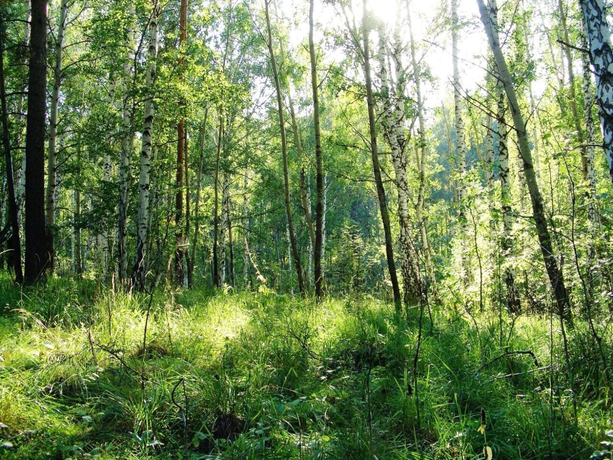 Ильменский заповедник Соколиная гора