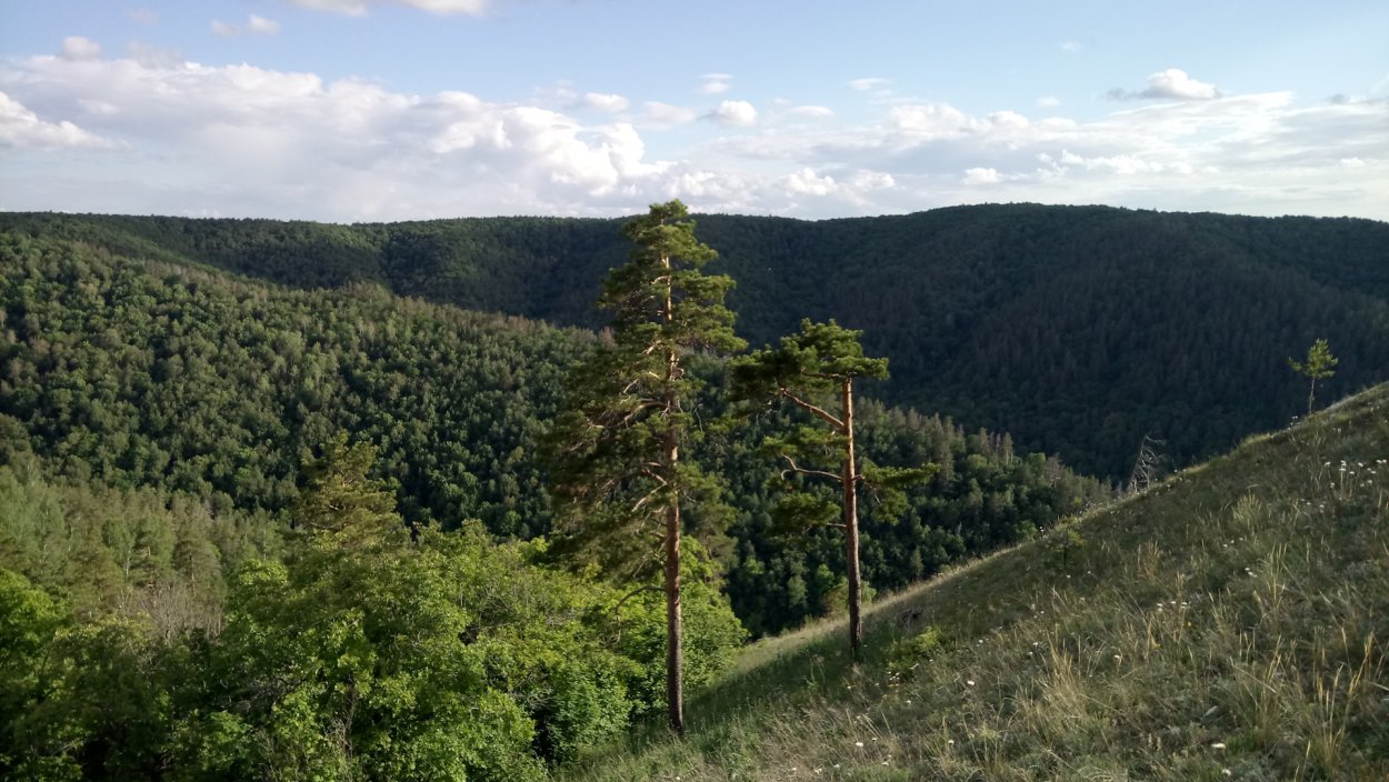 Жигулевские горы