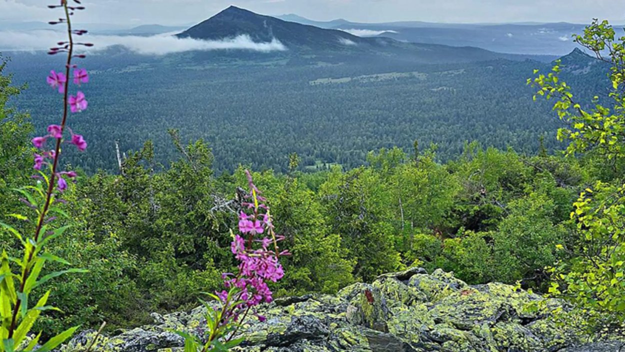 Заповедник Басеги климат