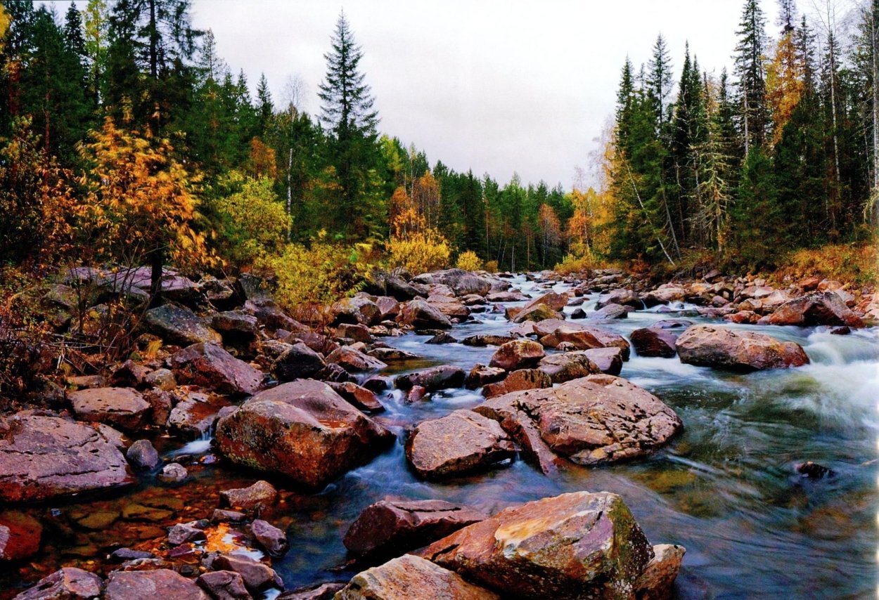 Южноуральский природный заповедник