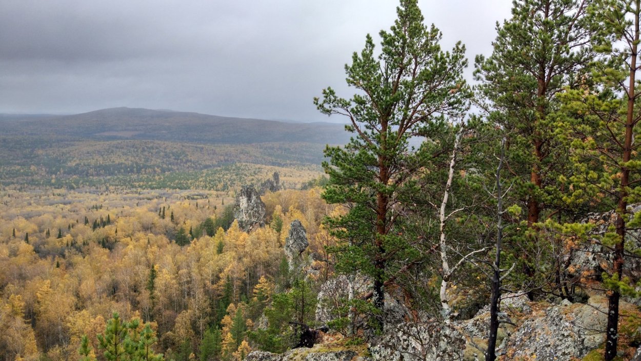 Ильменский заповедник сосны