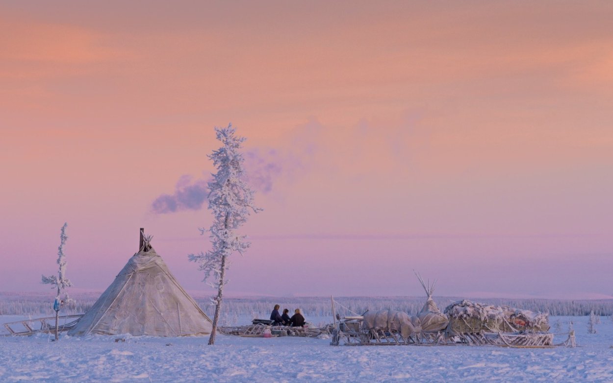 Тундра зима Ненецкий автономный округ