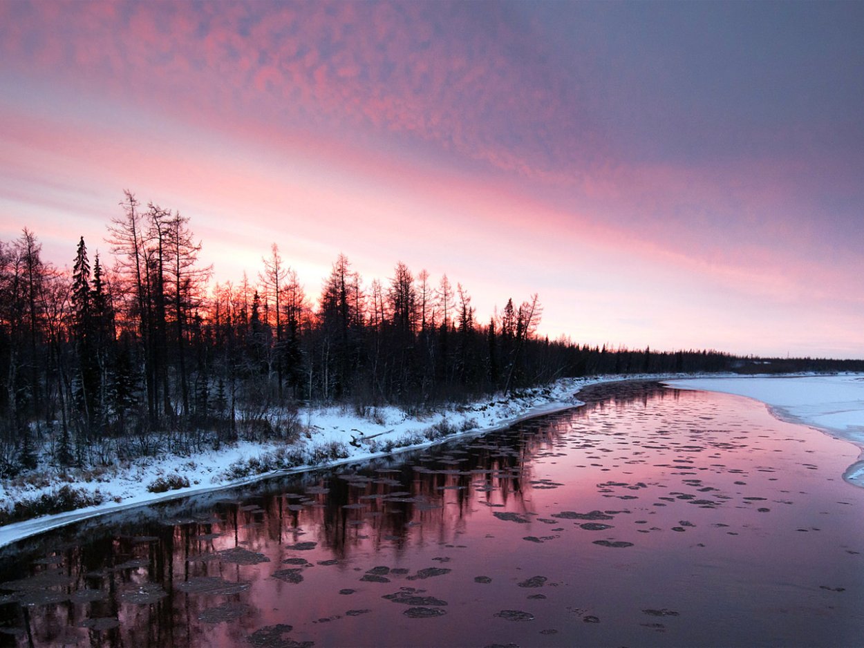 Ямалоненейкий автономный округ природа