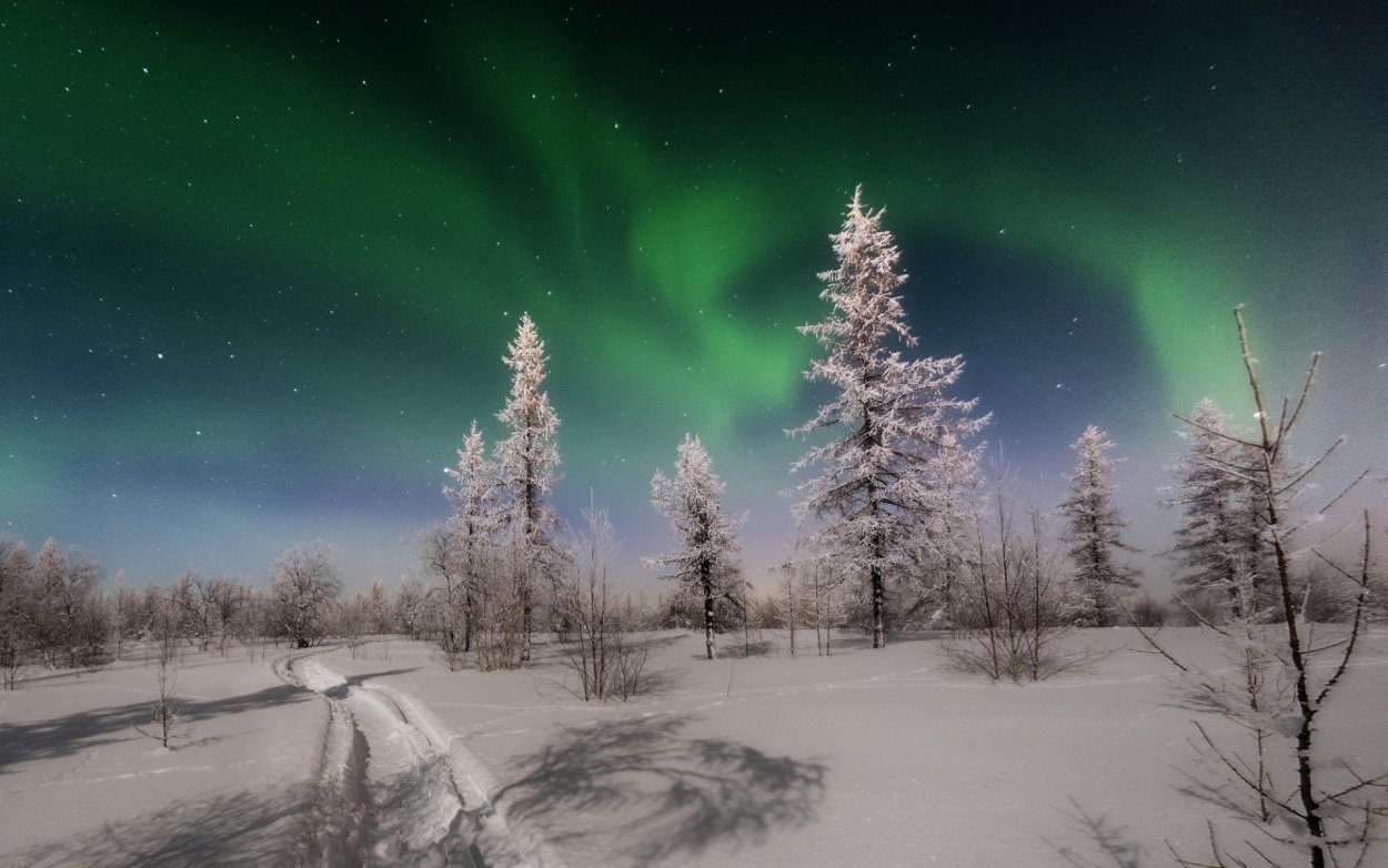 Тундра зимой