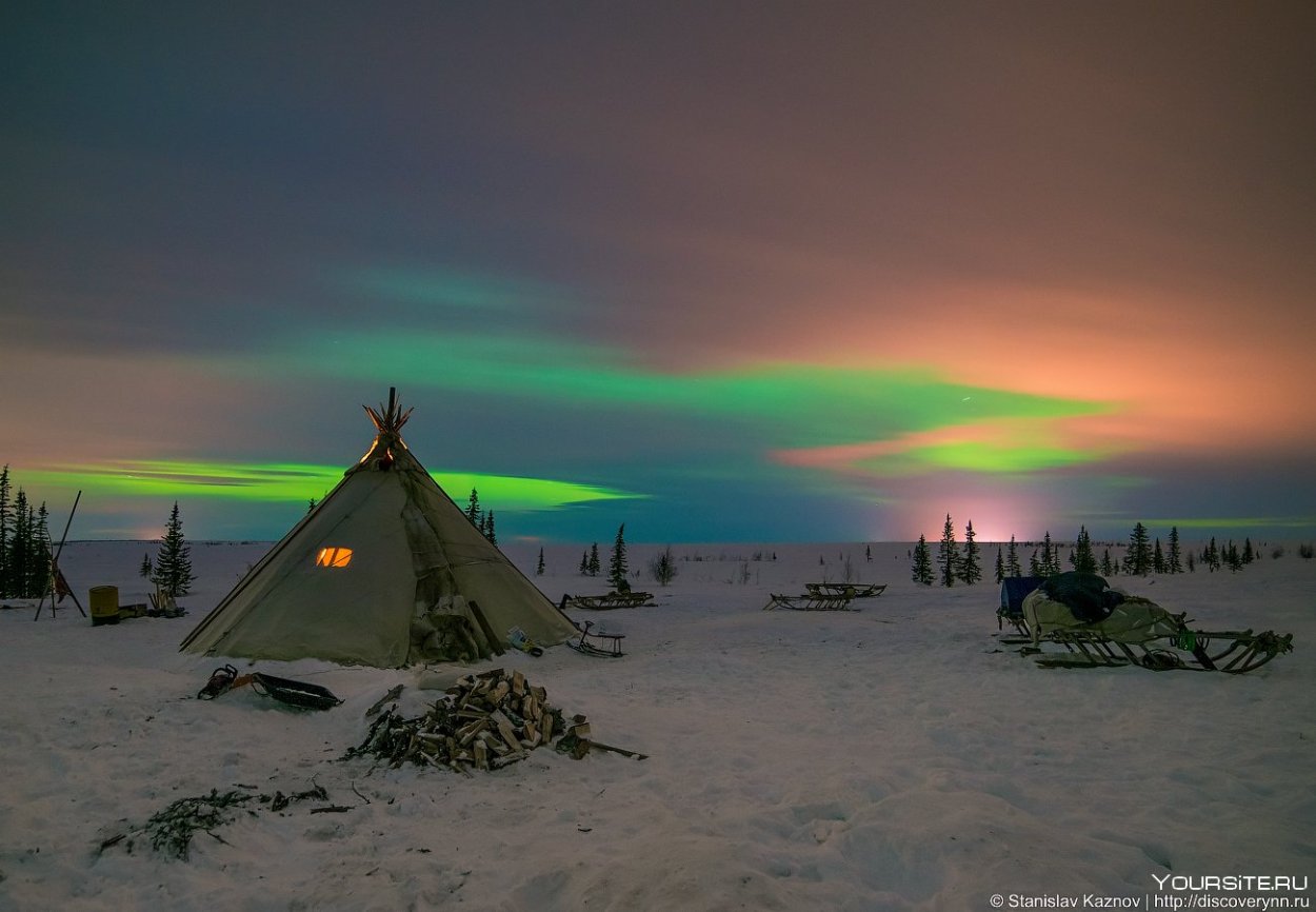 Ямало-Ненецкий автономный округ тундра
