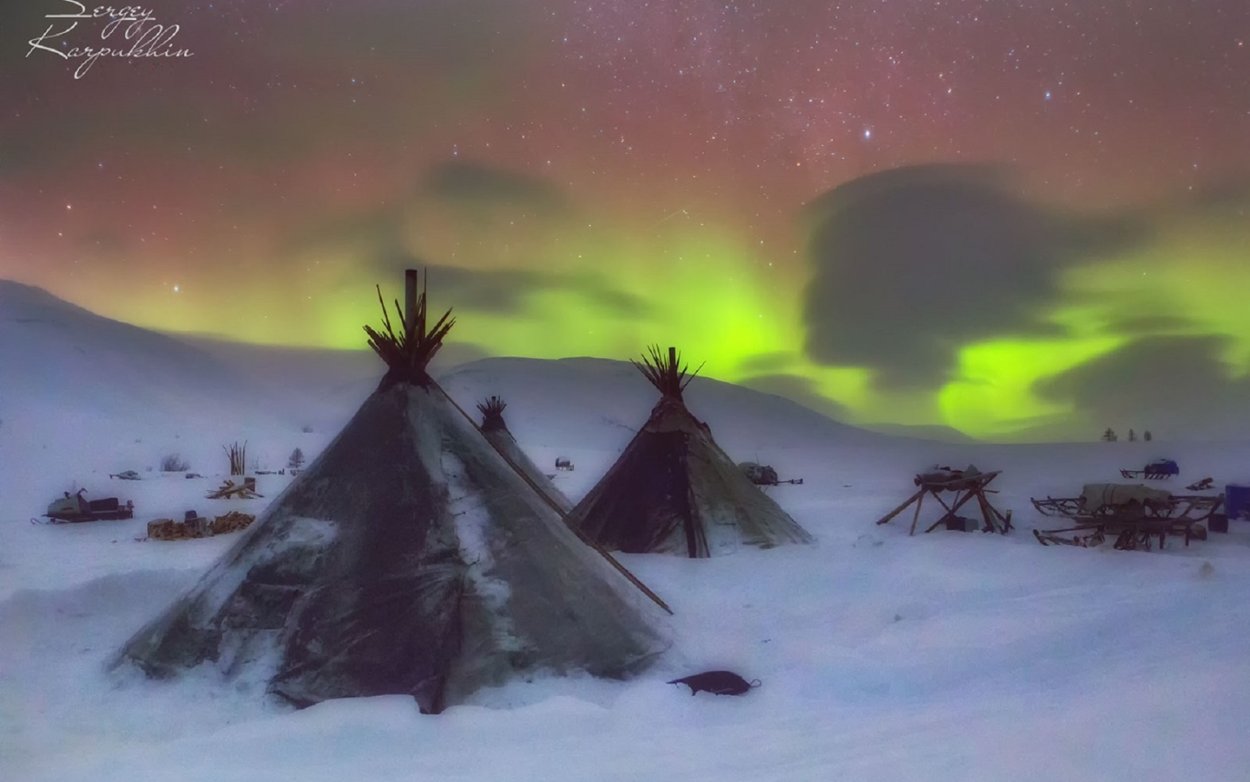 Чум олени ненцы Ямал