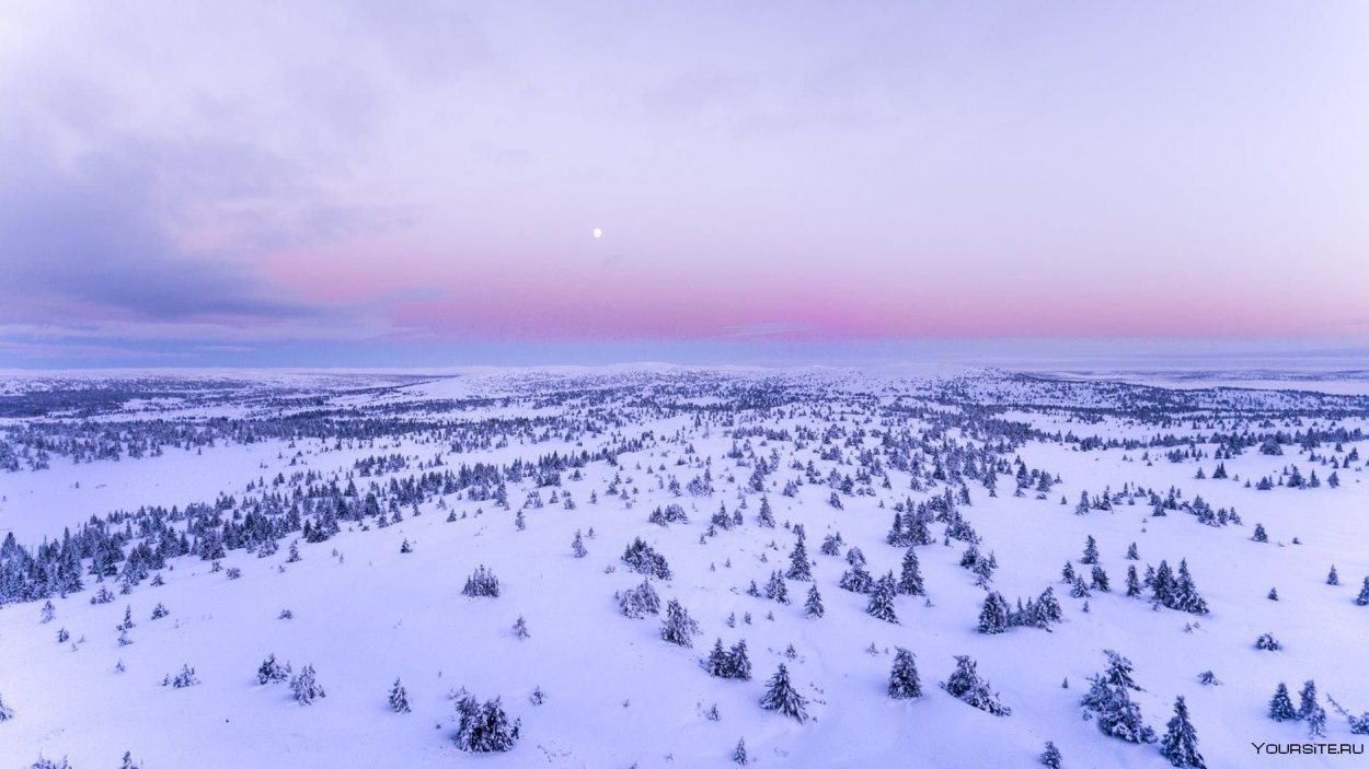 Зимнее поле вид сверху