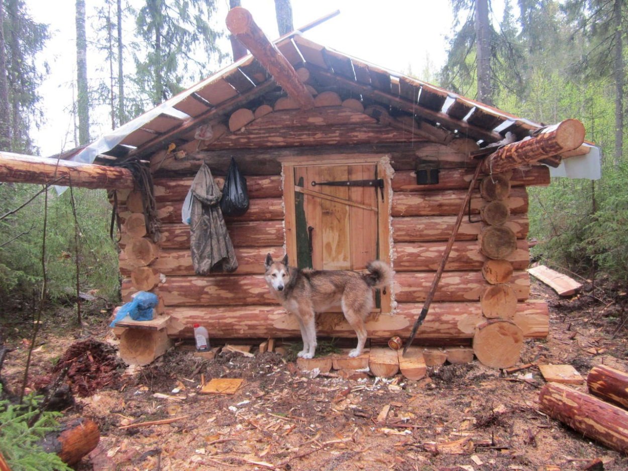 Охотничьи зимовья и избушки в тайге