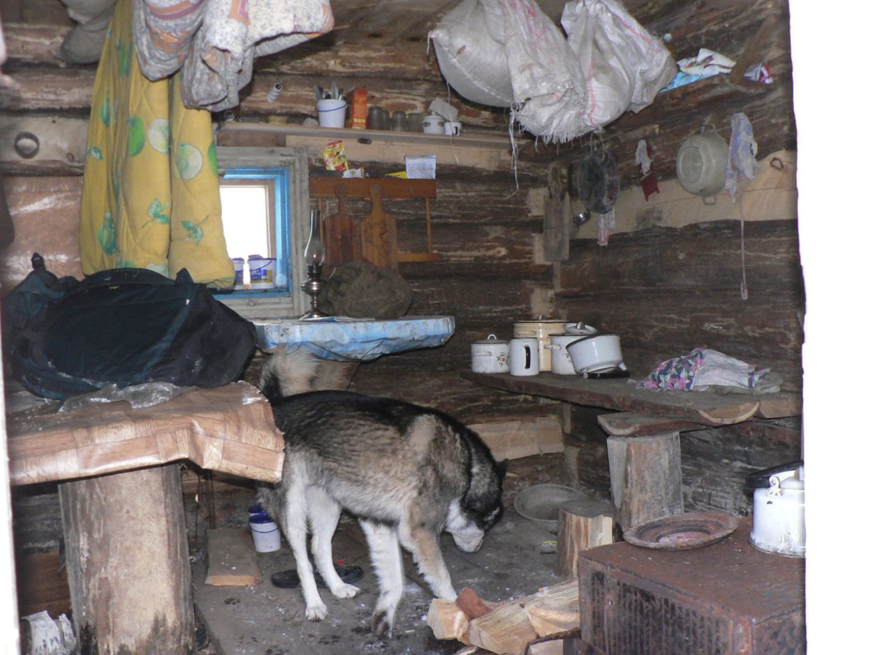 Охотничья избушка изнутри
