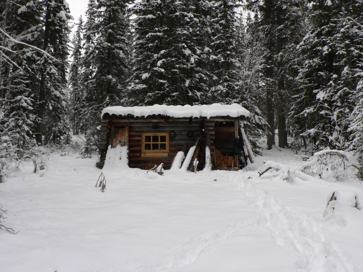 Север Тайга зимовье