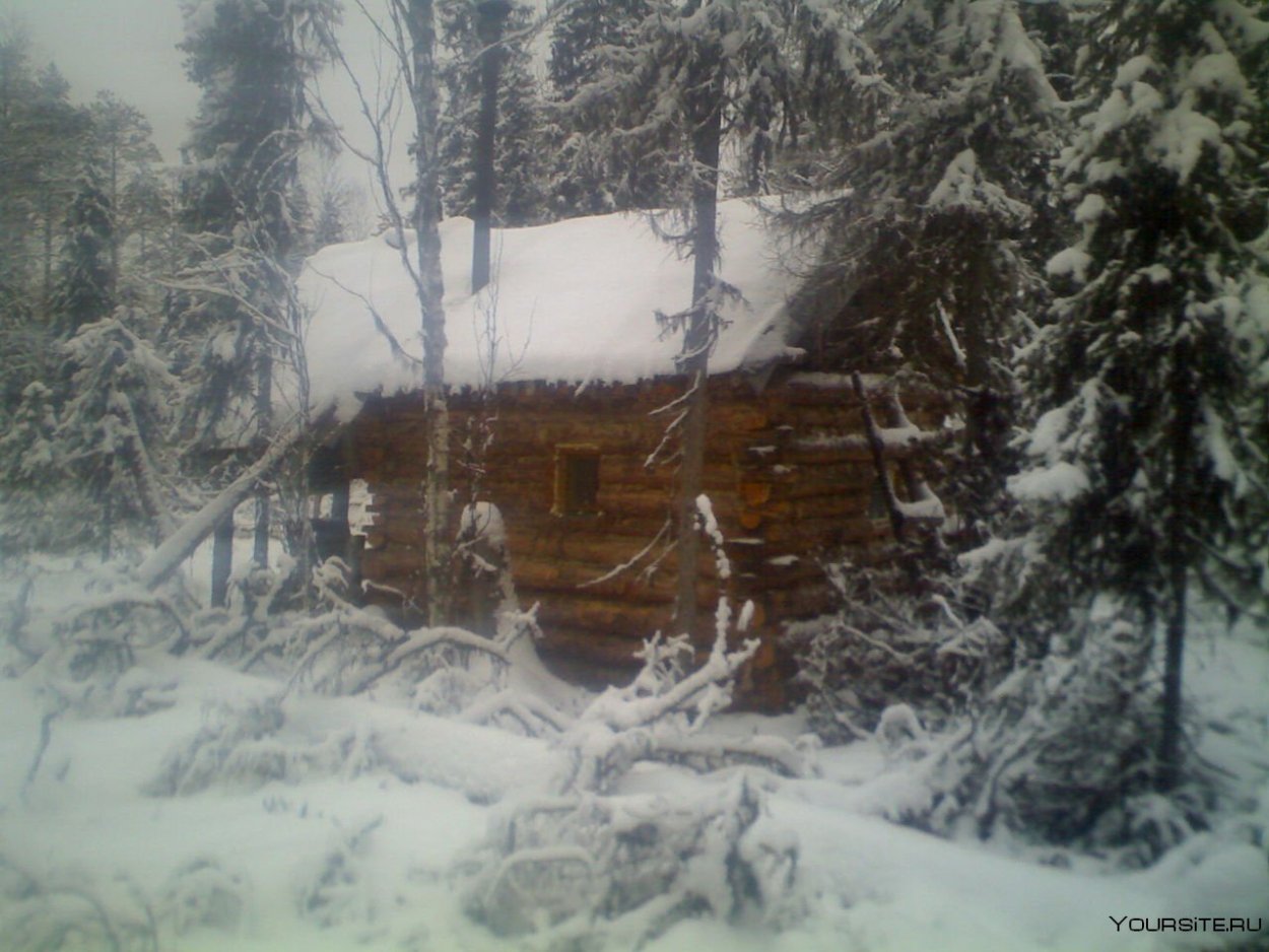 Избушка в тайге зимой