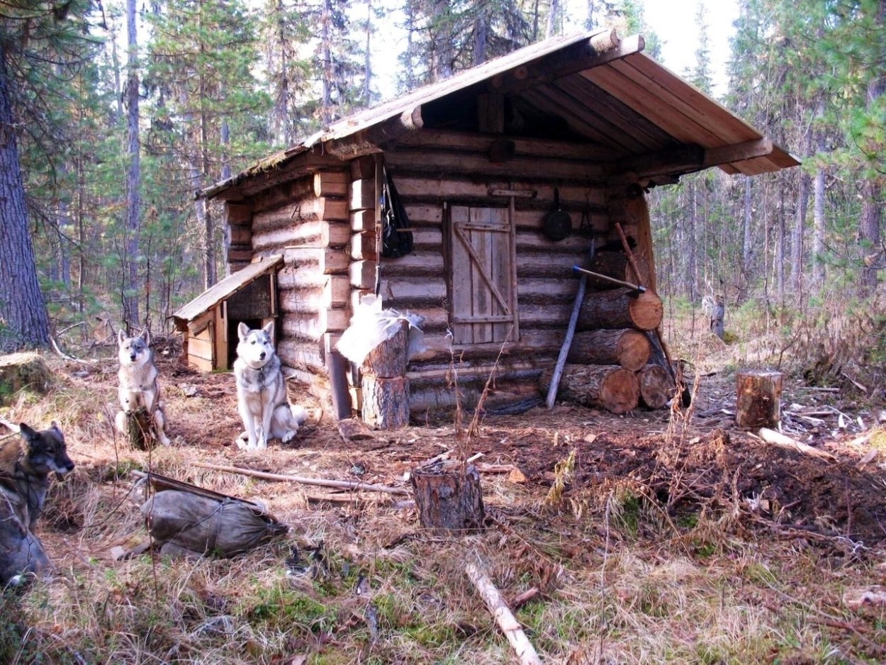 Зимовье охотника в тайге в Якутии