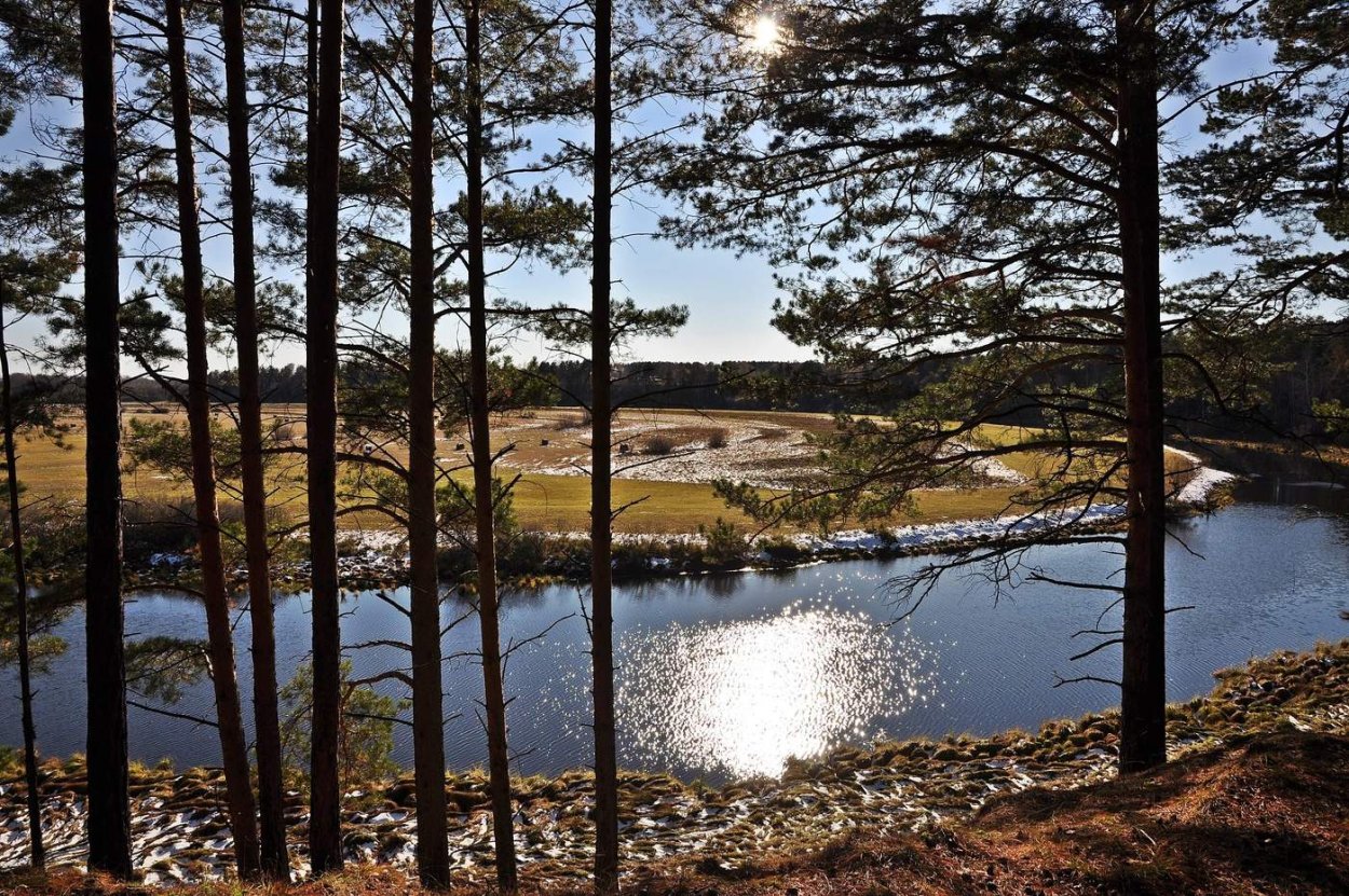 Река Чулым Томская область