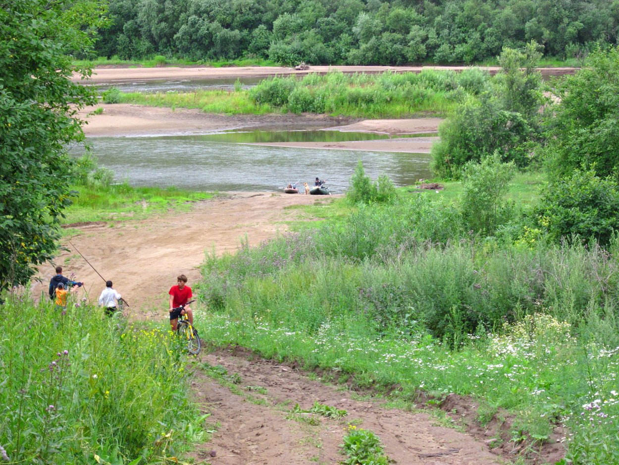 Золото в реке Чулым