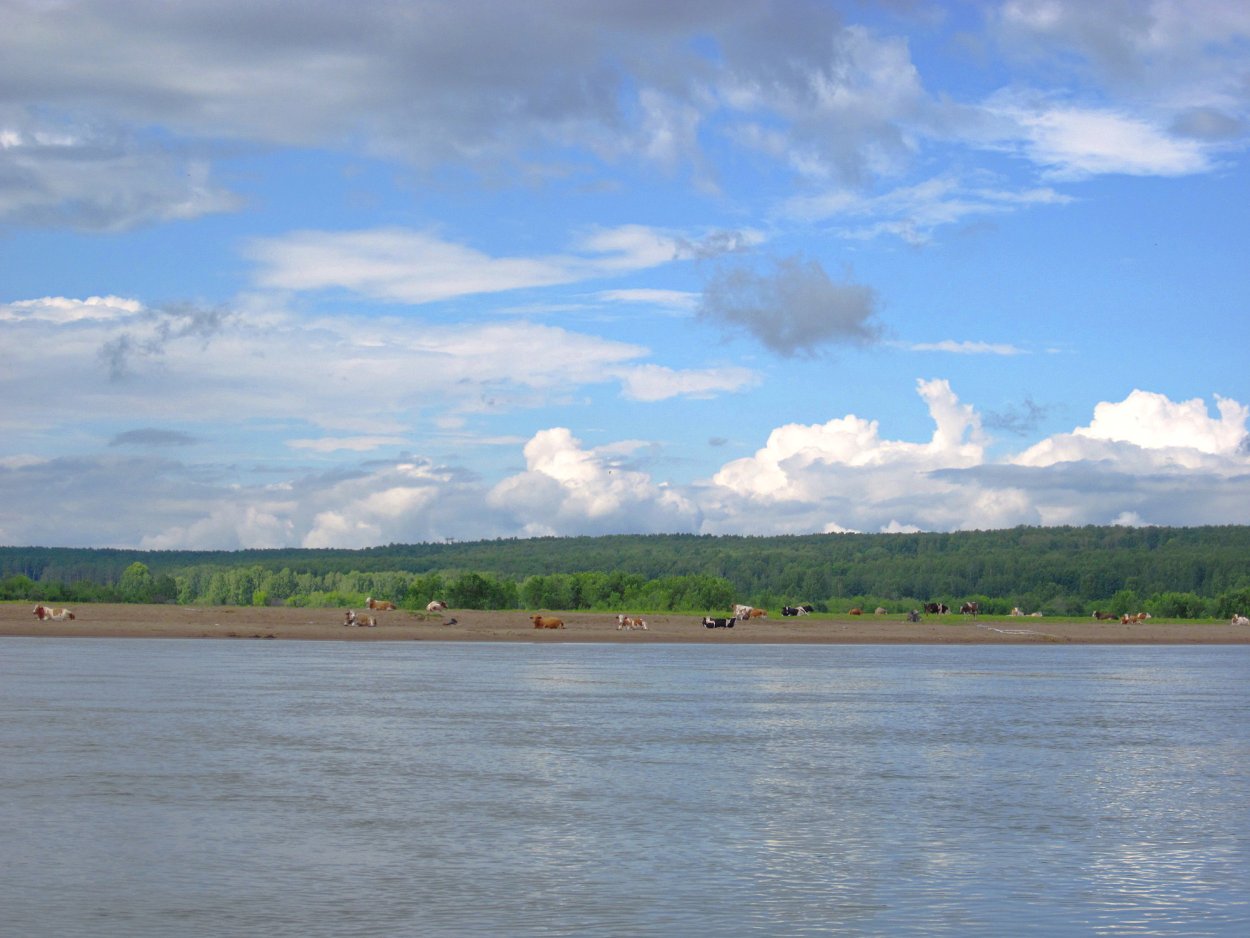 Чулым река в Новобирилюссах