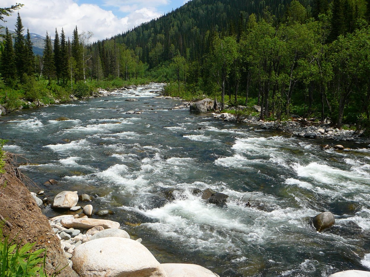 Река кия Кемеровская область