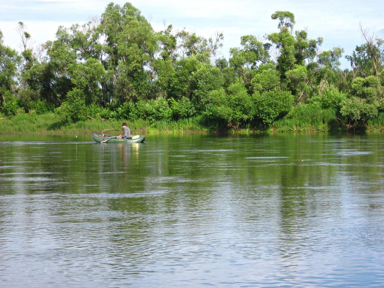 Растения и животные реки Чулым Красноярский край