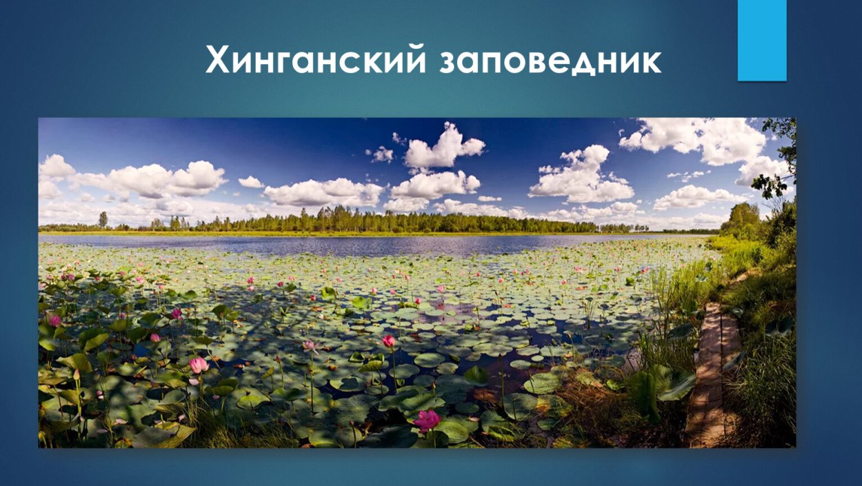 Заповедники Амурской области