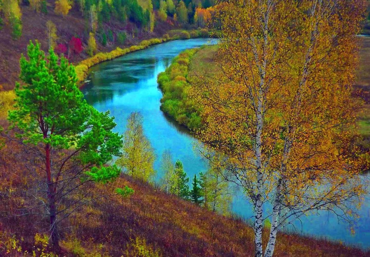 Река Чулым Кемеровская область