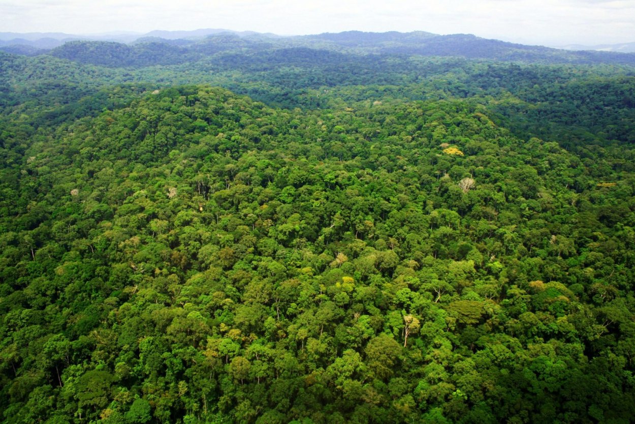 Габон национальный парк