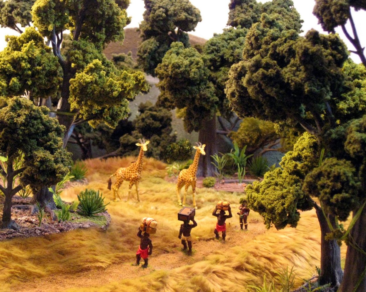 Панорама африканских джунглей